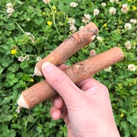 南郷檜のボールペン