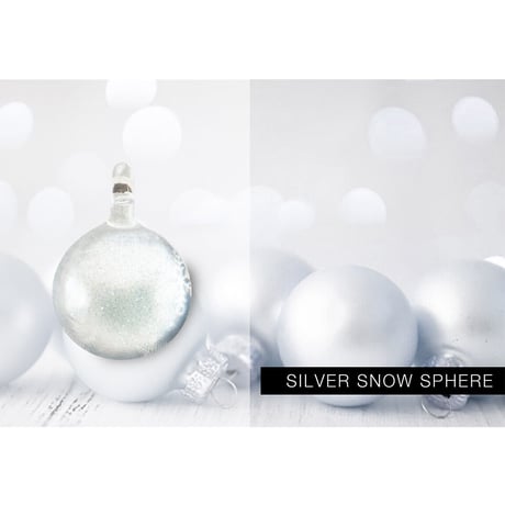 サークルMサイズ SILVER SNOW SPHERE [NTM-S-103]