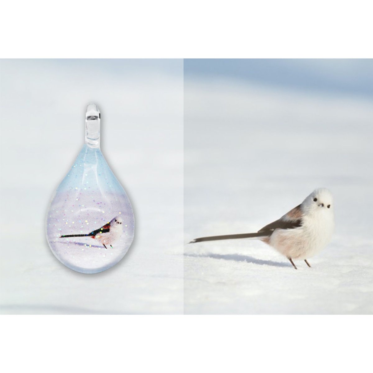 新品 WHAT WE WANT shimaenaga otoshi www 新品 WHAT WE WANT shimaenaga otoshi www The Most Cute Bird