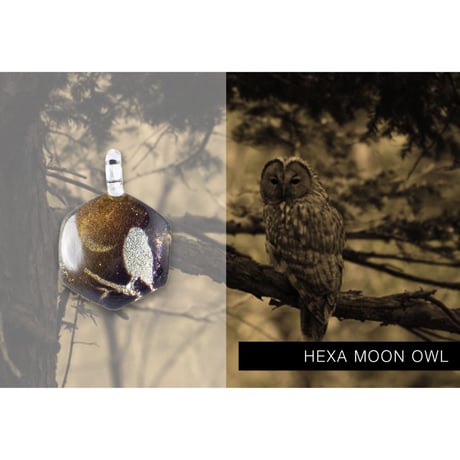 ヘキサMサイズ HEXA MOON OWL [NHXM-B3-101]