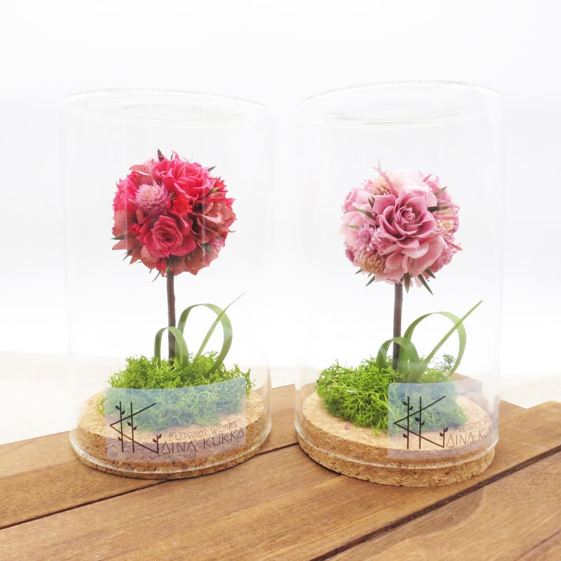 ボトルアレンジ]トピアリー(カラー2種)/プリザーブドフラワー×ドライ  