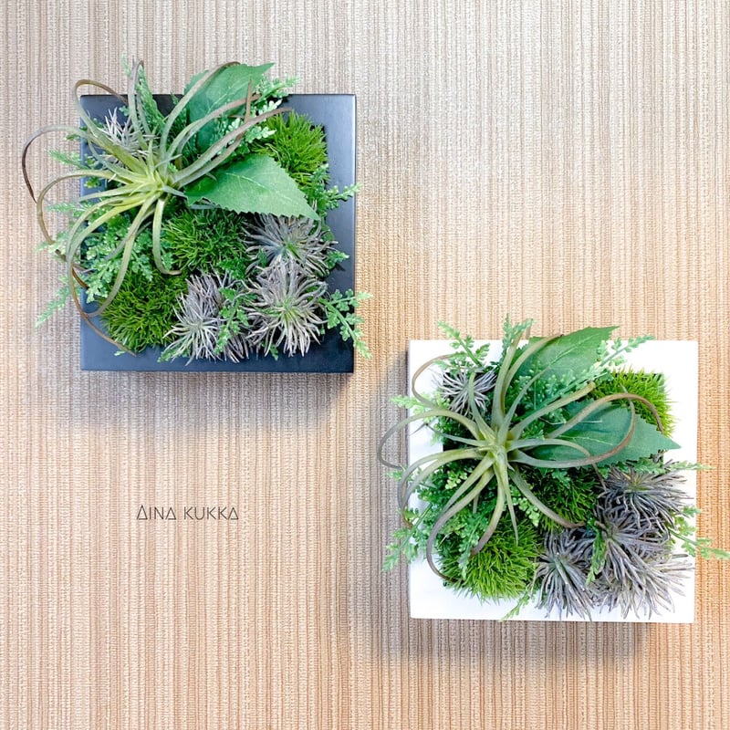 世界に一つの壁掛け植物アート 店舗やオフィスに〜壁にかけられる観葉植物【ミドリエ緑化観察記】4