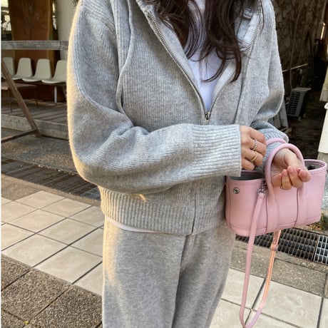 Leather mini tote bag(Pink)付属ポーチなし