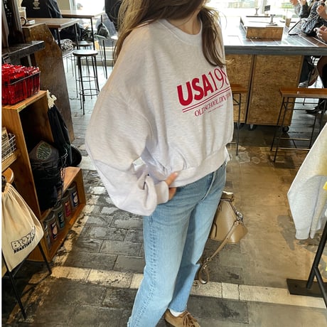 USA logo sweat(Light gray)