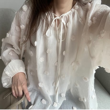 Sheer dot blouse(Ivory)