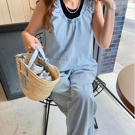Denim allinone