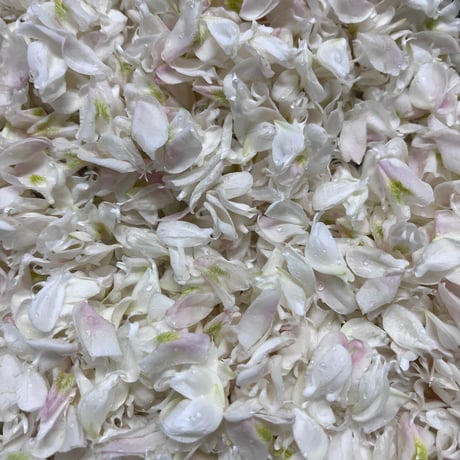 アカシアの花のジャム