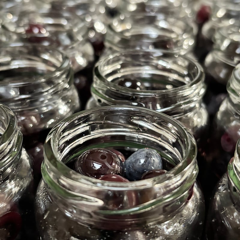 ピクルスのブルーです ピクルスのブルーです ピクルス の検索結果 | Cloveストア