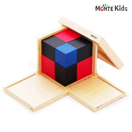 【MONTE Kids】MK-029　　二項式