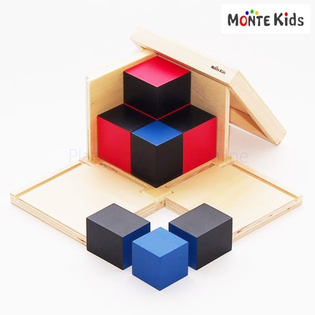 【MONTE Kids】MK-029　　二項式