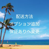 オプション追加(保証あり)【北陸,東海,近畿,中国,四国】