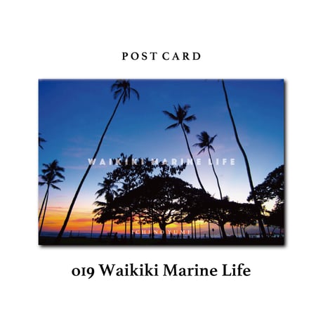 オリジナル  Photograph ポストカード  5枚セット  Waikiki