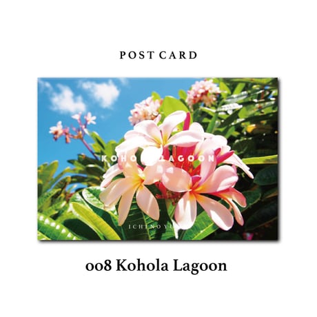 オリジナル  Photograph ポストカード  5枚セット ALOHA