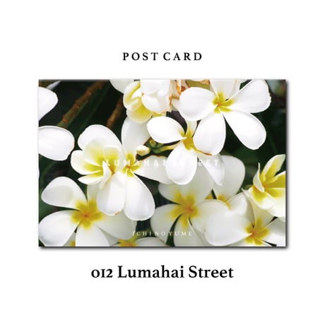 オリジナル  Photograph ポストカード  5枚セット  Hawaii