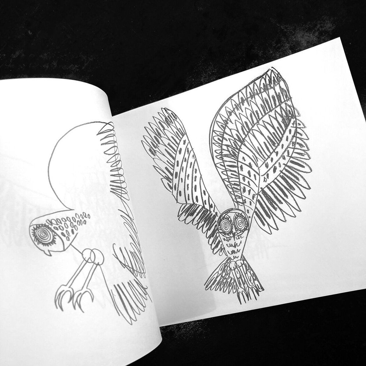 山口一郎 ZINE『owl』