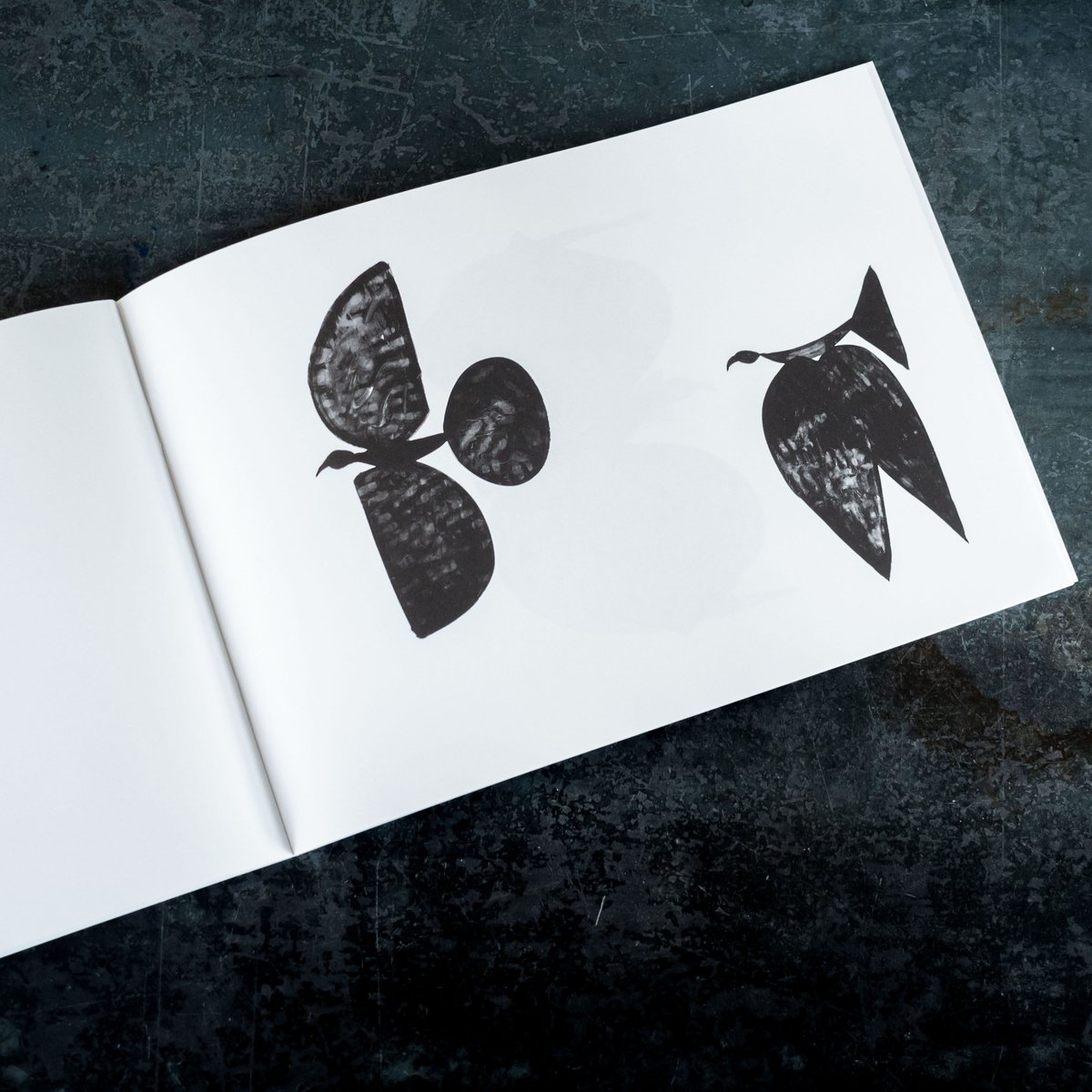 山口一郎 ZINE『BLACK BIRD』 | BOOK MARUTE online shop 山口一郎 ZINE『BLACK BIRD』 | BOOK MARUTE online shop
