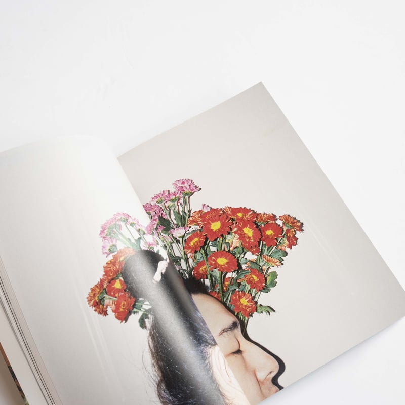 リン・チーペン（林志鵬）『Flowers and Fruits』(2nd ed.) | B 