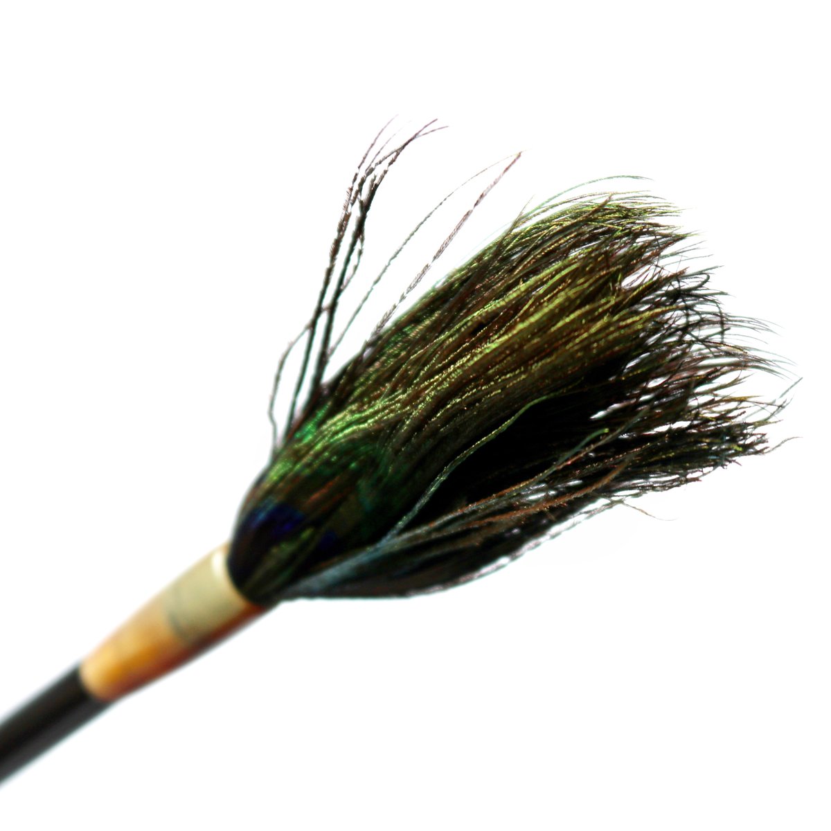 ★孔雀★ fit=scale-down,w=1200