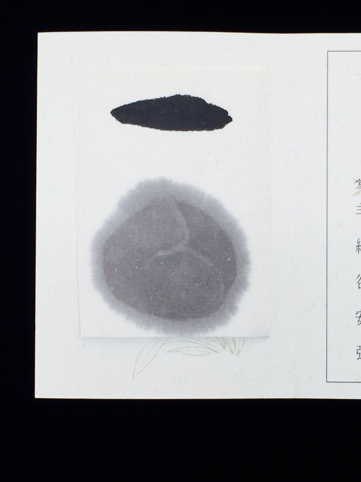 注文品、墨流し2本 呉竹墨 千壽墨 no.53 詩書宿好（ししょしゅくこう） 12.0丁型 | 上杉文林堂