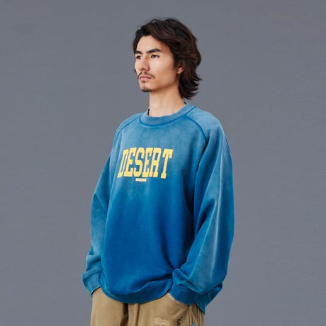 DESERT CREWNECK