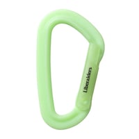 PX × LUMINOUS CARABINER