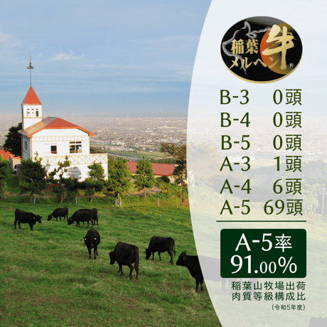 稲葉牛　すき焼き用モモ500g（2,3人前）