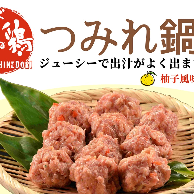 おやべ火ね鶏 粗挽きミンチ500g (真空パック・解凍) | 肉の白川