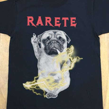 RARETE (ラルテ) 入手困難 DOG イナズマ 犬 Pag パグ ファック Tシャツ 星柄 star