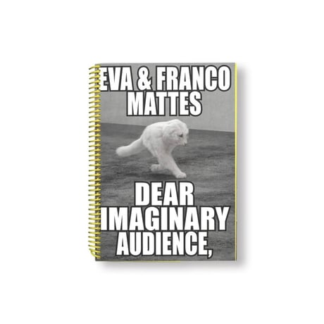 DEAR IMAGINARY AUDIENCE by Eva & Franco Mattes