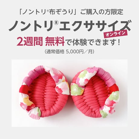 ノントリⓇ布ぞうり：2　サーモンピンク チェック