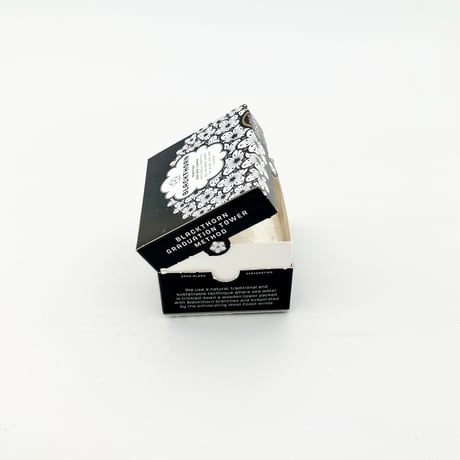 BLACK THORN SEA SALT ブラックソーン海塩　120g１箱
