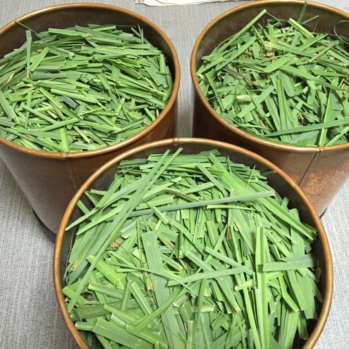 桜島小ミカン×霧島レモングラス | venustar organics web store