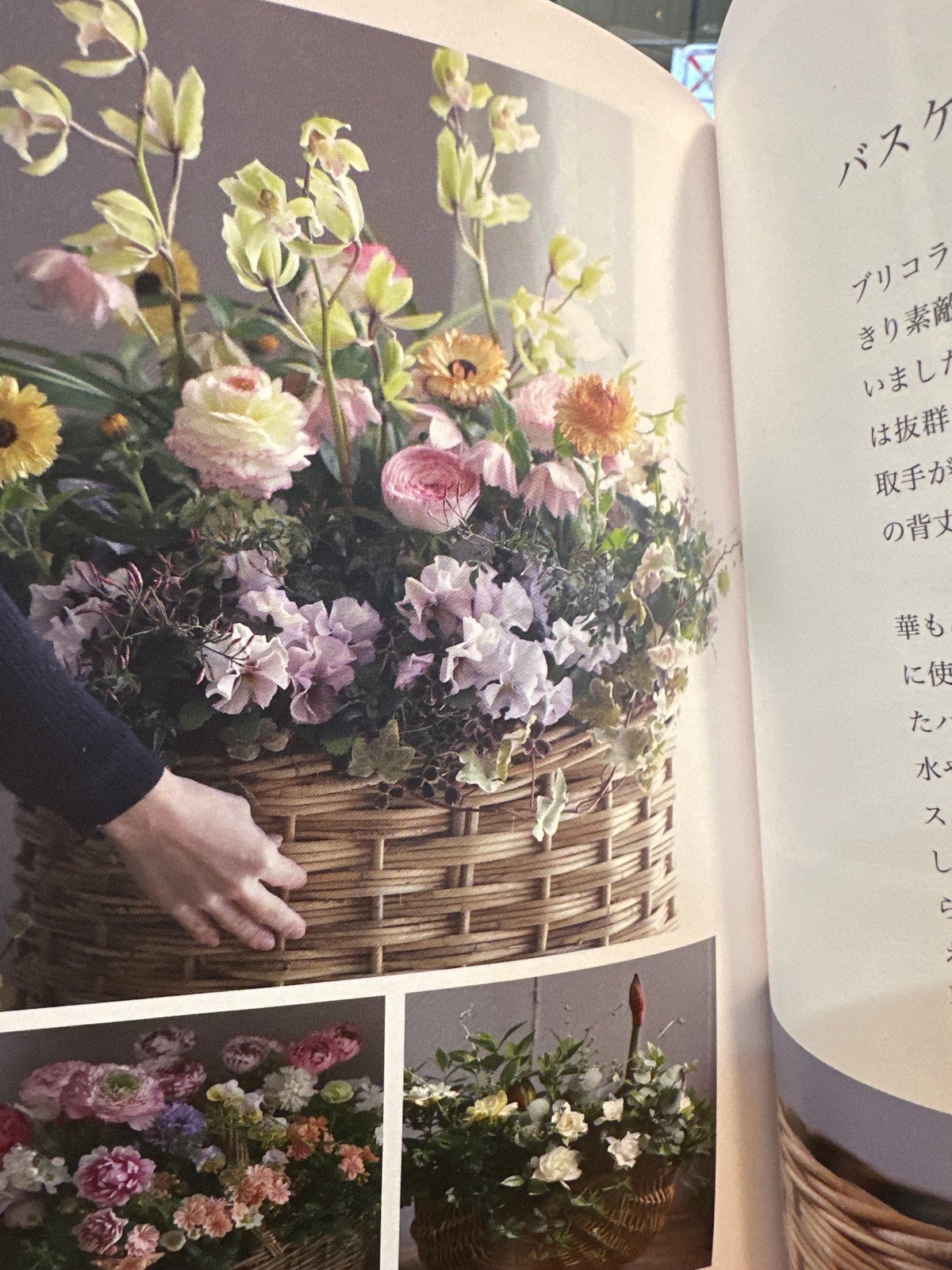 フラワーページ フラワーページ 花 ページ 花 ページ ☆ 花 ☆ 花ページ Amazon.co.jp