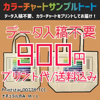 【データ入稿不要】カラーチャートサンプルトート　Printstar 00778-TCC 【ネコポス便送料込み】