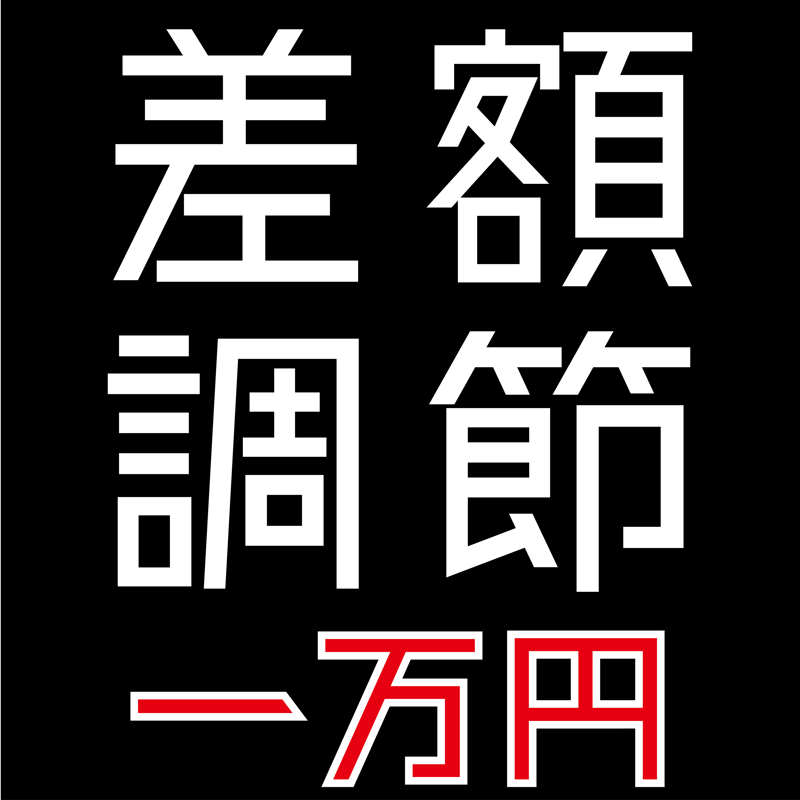 オプション】差額調節 一万円 | 白Tダケ！