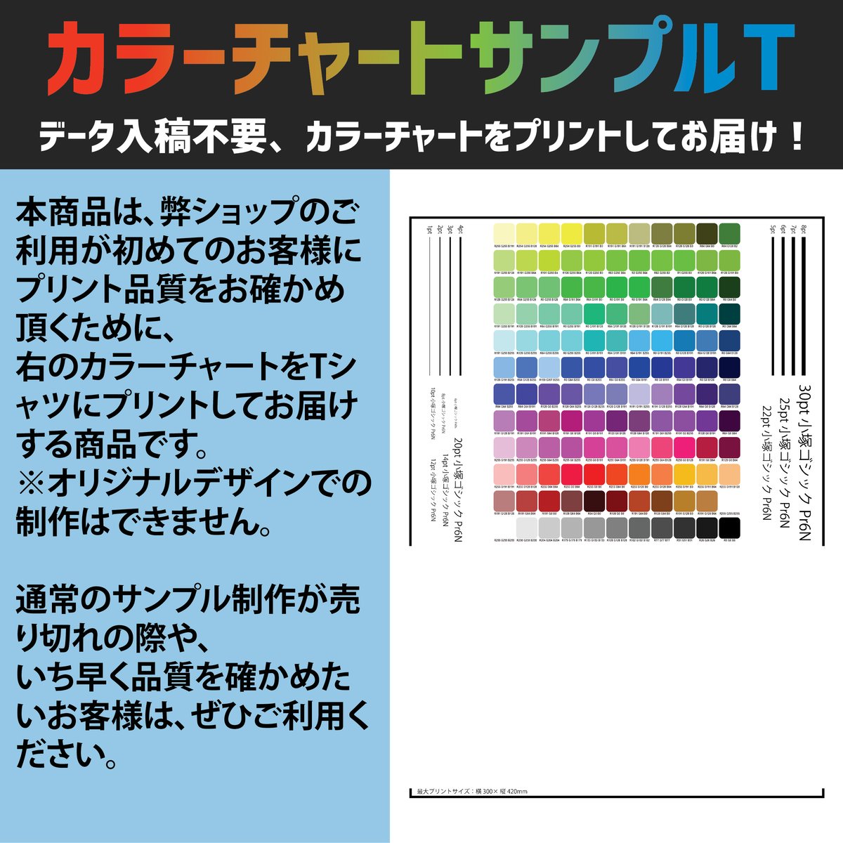 データ入稿不要】カラーチャートサンプルTシャツ Printstar 00085-CVT