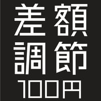 【オプション】差額調節 100円