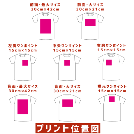 Printstar プリントスター　ポストスタイリッシュT 00086-DMT 【本体代+プリント代】