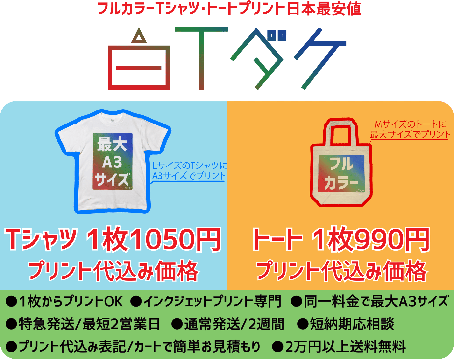 利用規約 | 白Tダケ！