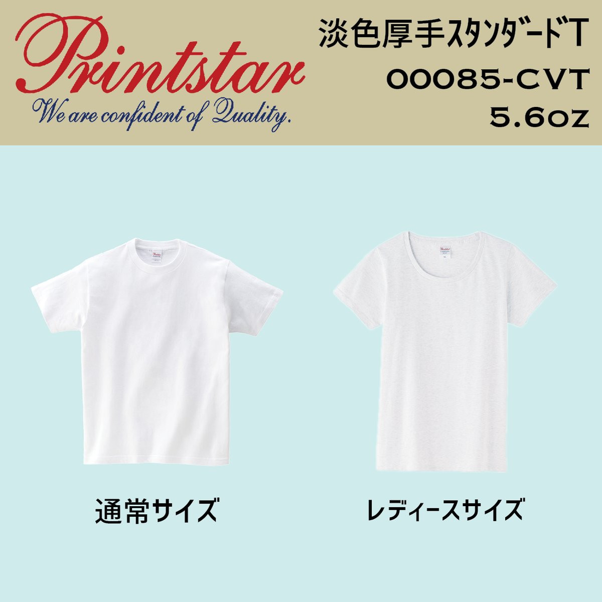 Printstar プリントスター 淡色カラーTシャツ 00085-CVT【本体代
