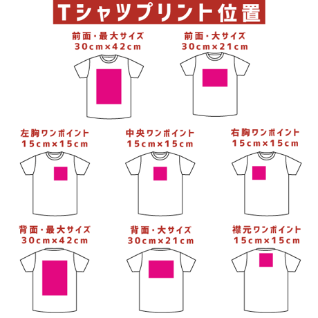 Printstar プリントスター　淡色ロンT 00102-CVL【本体代+プリント代】