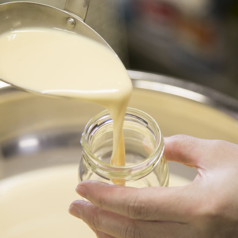 濃厚カスタードプリン | 浜んまちPUDDING 長崎の手作りプリン専門店