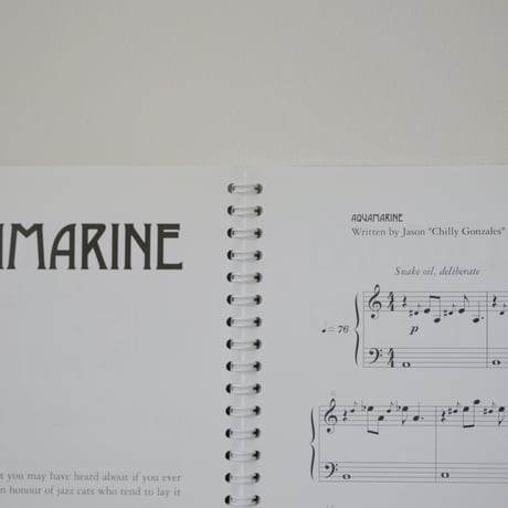 Re-Introduction Etudes - Chilly Gonzales 【AUDIO CD + MUSICAL SCORE + POSTER】