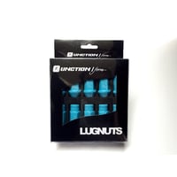 【FANCTION / form  LUGNUTS】