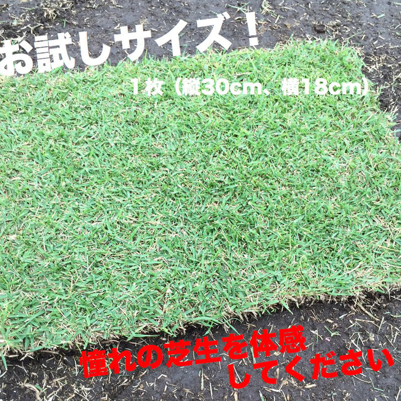 人工芝（大から小まで）大きさは画像に