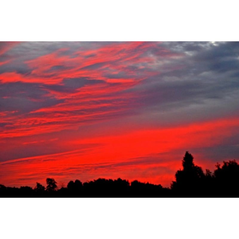 雫　紅6尺8尺　タナゴ、小物竿　激レア fit=scale-down,w=1200