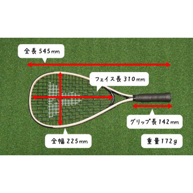 OUTDOOR BADMINTON（アウトドアバドミントン） Talbot-Torro SPE