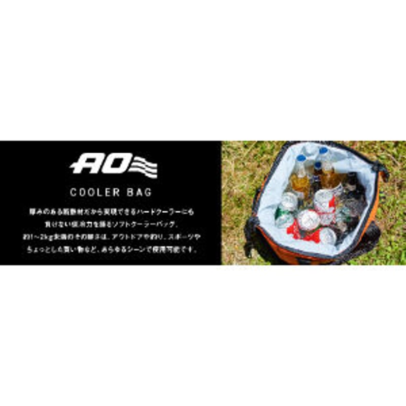 Snow Peak - AO Coolers(エーオークーラーズ) 24パック AO Coolers(エーオークーラーズ) 24パック キャンバス ソフト