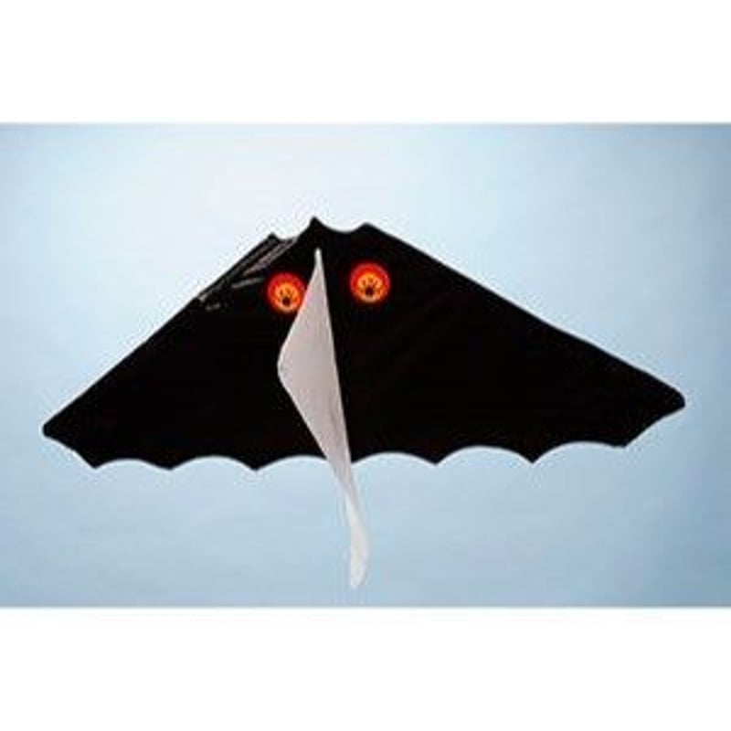 あおぞら ゲイラカイト | CLIMB STORE