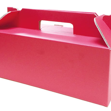 中まで赤～いりんごギフトＢＯＸ　8玉入